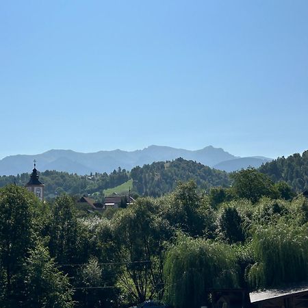 Hanul Cu Noroc Hotel Alsómoécs Kültér fotó