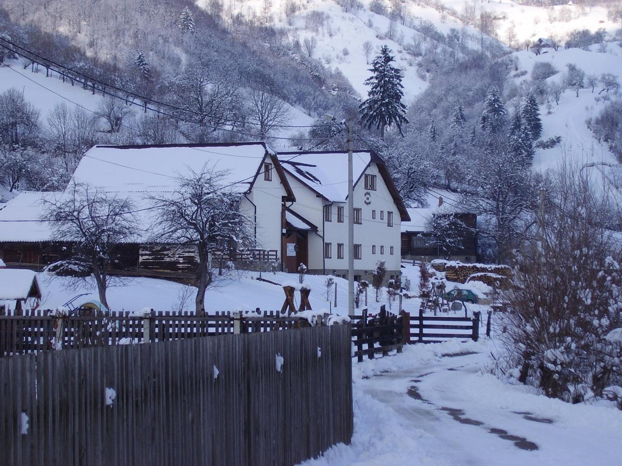 Hanul Cu Noroc Hotel Alsómoécs Kültér fotó